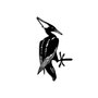 Aberto Design Bird On The Branch 10 - Negro